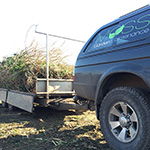 Trailer with waste disposal from garden and house clearance