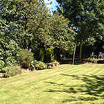 Lawn cutting, strimming, garden maintenance Mardy Abergavenny