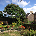 garden maintenance in abergavenny, hedge cutting and general maintenance