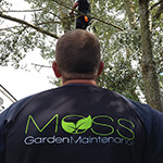 Tree surgeon Abergavenny - Great Oak